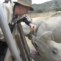 Lois-20130205-0498 - Dick Feeding Rhino.jpg